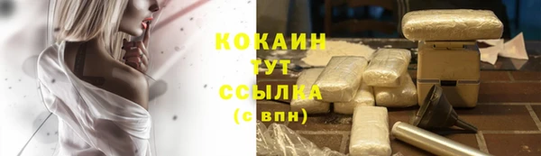 дурь Елизово