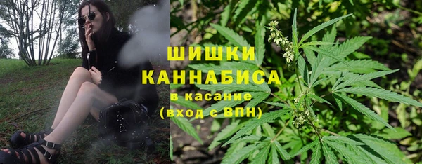 mdpv Елабуга