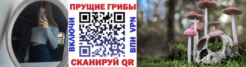 Псилоцибиновые грибы Psilocybine cubensis Котовск
