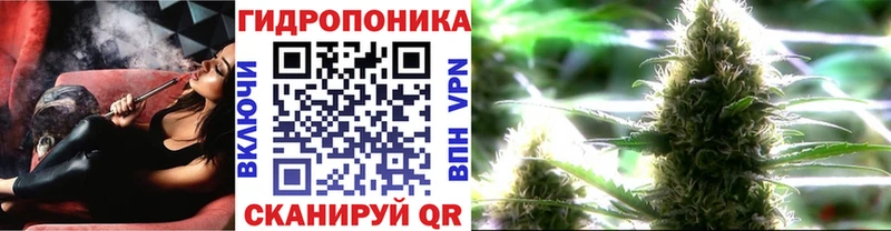 Купить закладки  Котовск  Марихуана планчик 